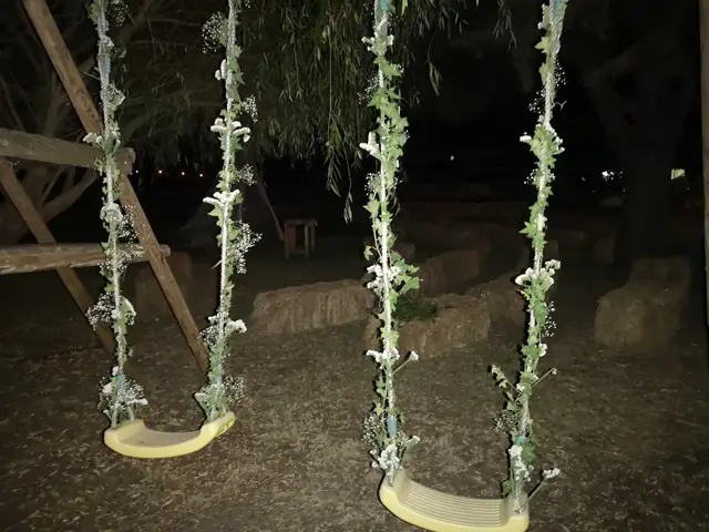 Baloiços decorados no exterior