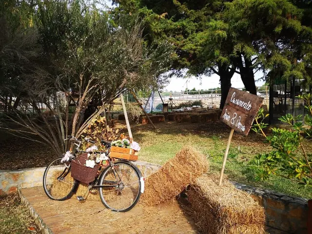 Entrada do casamento com bicicleta decorada
