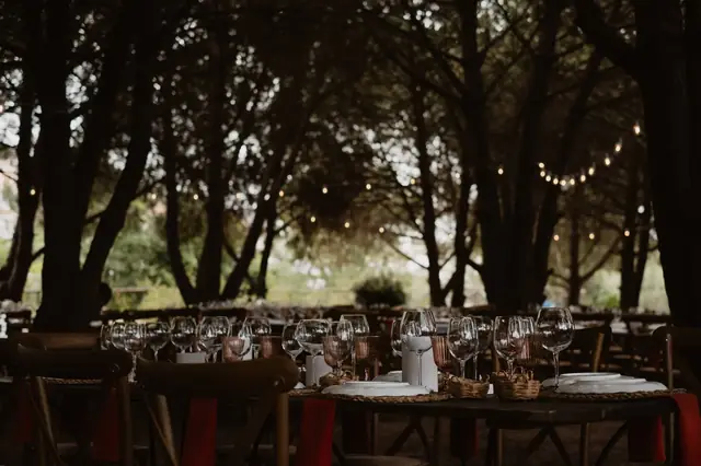 Mesa de casamento no pinhal ao entardecer